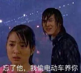 广西偷电车表情包,趣味横生，揭示社会现象