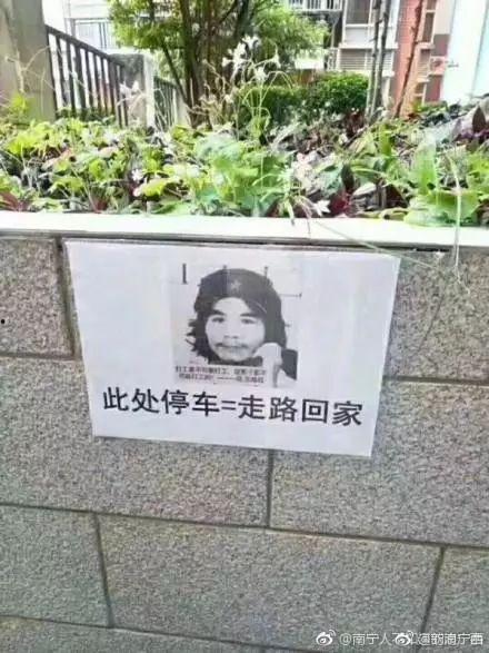 广西偷电车表情包,趣味横生,揭示社会现象