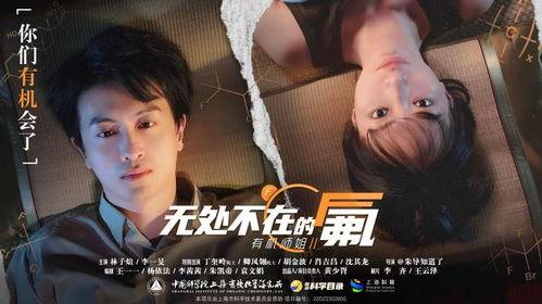 网红微电影在线观看,指尖上的光影盛宴